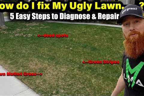 Repair an UGLY LAWN Using 5 easy steps. Hazy brown grass, Dead spots, Lawn Fungus, under watered!