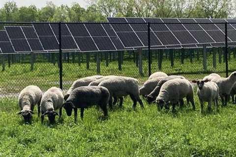 Catalyze Solar Farm Brings Renewable Energy to Upstate New York