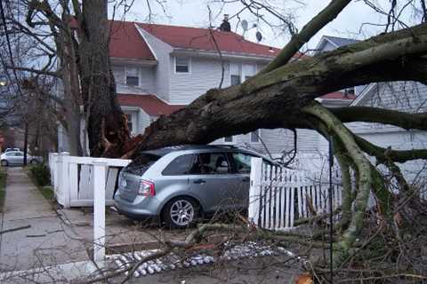 Tree Surgeon in Waterhead Residential & Commercial Tree Removal & Pruning Services