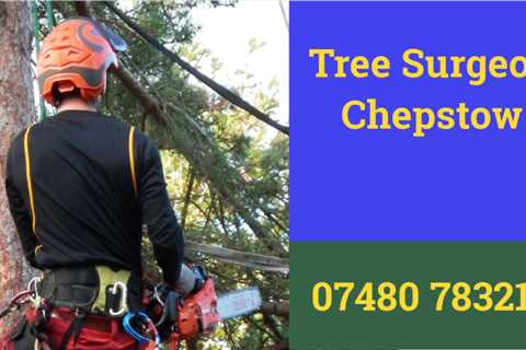 Tree Surgeons in Mardy Commercial & Residential Tree Pruning & Removal Services