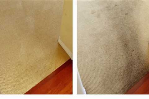 How do i choose a professional carpet cleaning service?