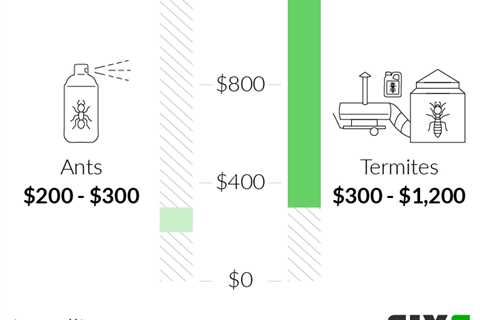 What Additional Services Are Included In The Exterminator Prices For Ants Such As Follow-up..