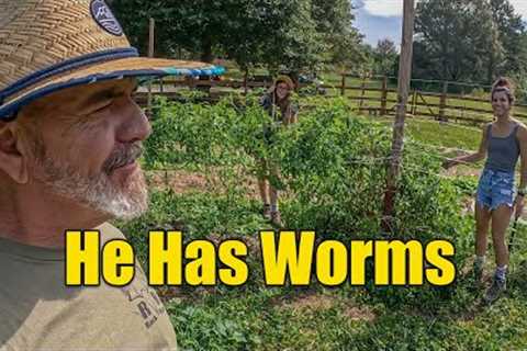 Fall Lawn Care Armyworms, Grubs, Moths, and Farm Life