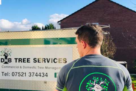 Tree Surgeon Llanyrafon