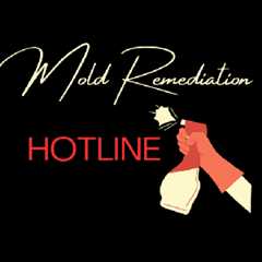 Mold Remediation Hotline Garland TX : 