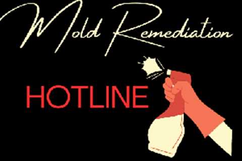 Mold Remediation Hotline Hollywood CA - Home Services, General Contractor, Mold Remediation Company,..