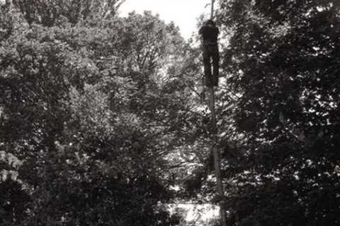 Tree Surgeon Hoddlesden