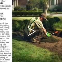 Affordable Stump Grinding - Tree Services - Truco