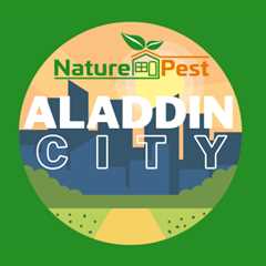 Pest Control Aladdin City FL | NaturePest Holistic Local Pest Control