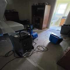 Standard post published to CSL Water Damage Restoration at March 08, 2024 16:00