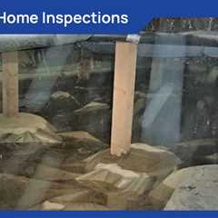 Standard post published to Octopus Home Inspections, LLC at March 12, 2024 20:00