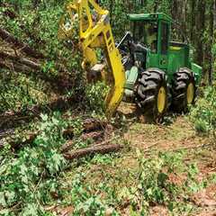Exploring the Different Types of Feller Bunchers for Efficient Forestry Operations