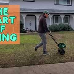 When To Mow, Water, And Fertilize In Early Spring