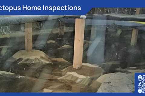 Standard post published to Octopus Home Inspections, LLC at March 12, 2024 20:00