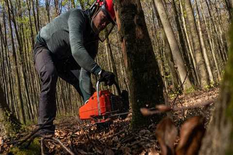 Exploring the Different Types of Chainsaws Used in Forestry