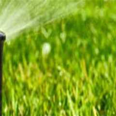 The Perfect Pair: Sprinkler Repair Systems And Arboriculture In Northern Virginia