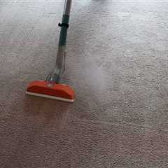 How Important Are Reviews When Choosing A Local Carpet Cleaner