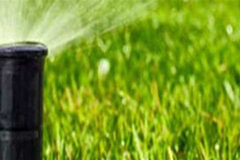 The Perfect Pair: Sprinkler Repair Systems And Arboriculture In Northern Virginia