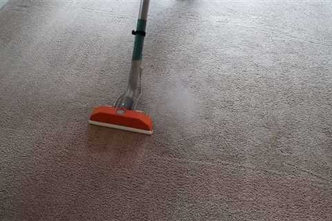 How Important Are Reviews When Choosing A Local Carpet Cleaner