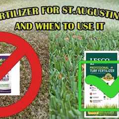 The Best Fertilizer For St Augustine Grass | When To Fertilize Your Lawn
