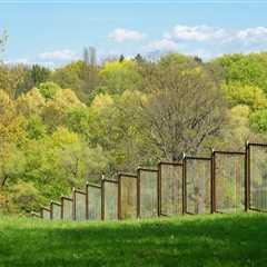 BEST PRACTICES FOR MANAGING TREE BRANCHES NEAR FENCES