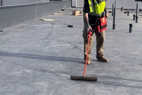 Roof Leak Detection Biscot