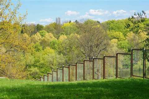 BEST PRACTICES FOR MANAGING TREE BRANCHES NEAR FENCES