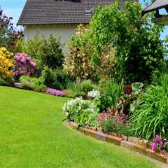 The Arborist's Guide To A Vibrant Lawn: Maximizing Growth And Health Through Fertilization Program..