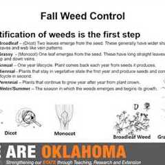 Fall Weed Control and Lawn Care Presentation