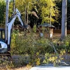 Streamlining Land Clearing: The Role Of Tree Removal In Louisville