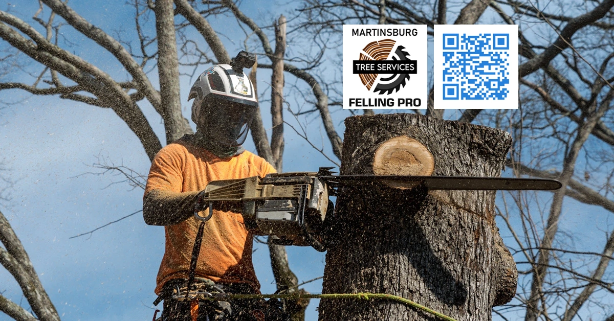 Falling Waters Tree Service - Berkeley Felling Pro