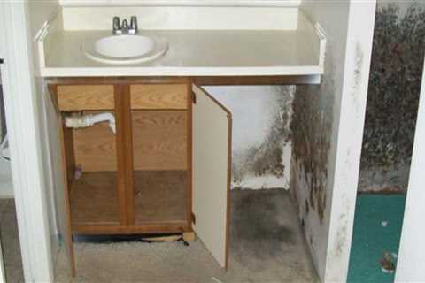 Maximizing Home Safety: Water Damage Restoration And House Cleaning Services In Richland, WA