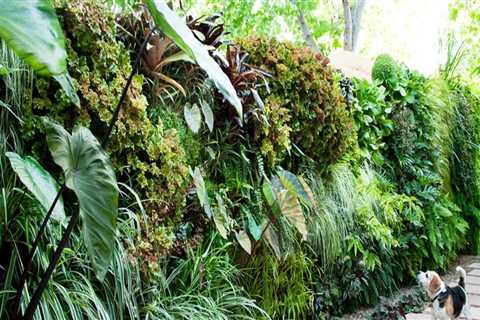 How to Create a Stunning Vertical Garden for Your Outdoor Living Space