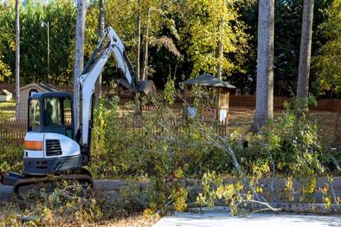 Streamlining Land Clearing: The Role Of Tree Removal In Louisville