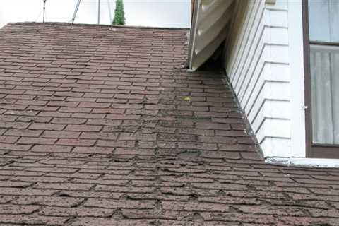 Replacing Shingles: Everything You Need to Know