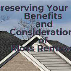 Preserving Your Roof: Benefits and Considerations of Moss Removal