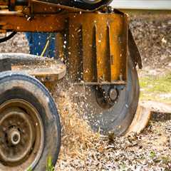 Top Reasons Why Residents Should Only Use Arborist Service For Stump Grinding In Berkeley County