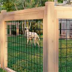 The Most Economical and Easy-to-Install Fence Options