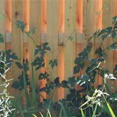 The Expert's Guide to Choosing a Durable Fence
