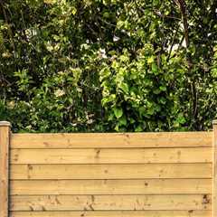 The Most Affordable Fencing Options for Your Home