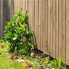 The Legal Height of Fences in Auckland: A Comprehensive Guide