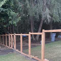 The Best Fencing Options for Dogs on a Budget