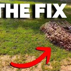 Fix YOUR Lawn Drainage and POA Problems NOW