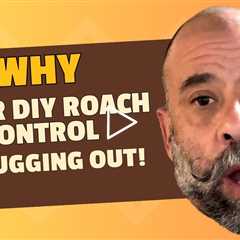 Professional pest inspection reveals why DIY roach control failed