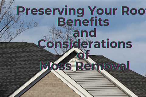 Preserving Your Roof: Benefits and Considerations of Moss Removal