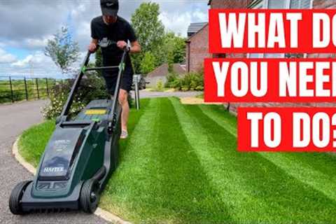 A Beginners Guide to Great Lawn Care - What Do You REALLY Need To Do?