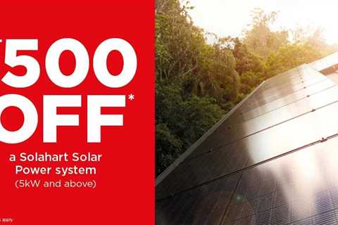 Solar Power Lake Macquarie NSW – Save Money and Reduce Your Carbon Footprint