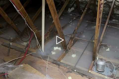 We find out how rats are getting into your attic when no one else can, with smoke drain testing.