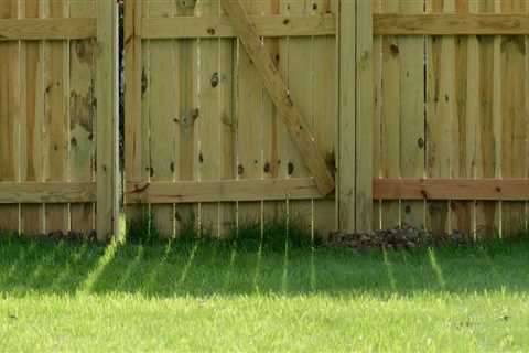 The Most Affordable Fencing Options for Your Home