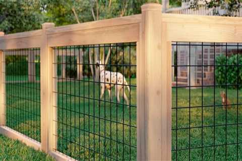 The Most Economical and Easy-to-Install Fence Options